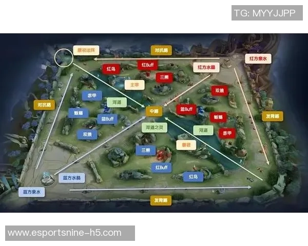 王者荣耀深度解析TES战队防守策略与战术布局的成功之道